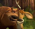 Open Season - Photo Gallery