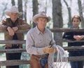 The Horse Whisperer - Photo Gallery