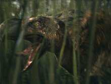 10,000 B.C. - Photo Gallery