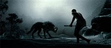 300 - Photo Gallery