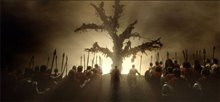 300 - Photo Gallery