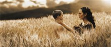 300 - Photo Gallery