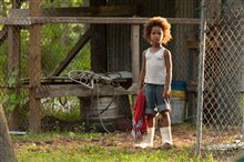 Beasts of the Southern Wild - Photo Gallery