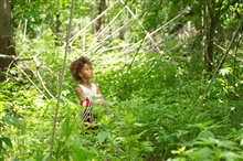 Beasts of the Southern Wild - Photo Gallery
