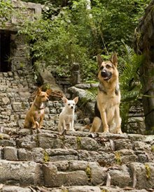 Beverly Hills Chihuahua - Photo Gallery