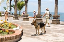 Beverly Hills Chihuahua - Photo Gallery