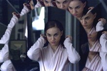 Black Swan - Photo Gallery