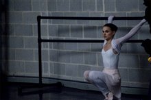 Black Swan - Photo Gallery