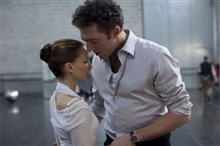 Black Swan - Photo Gallery