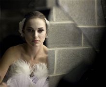Black Swan - Photo Gallery