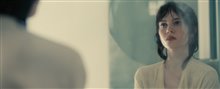 Companion - Photo Gallery