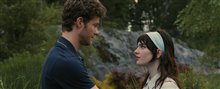 Companion - Photo Gallery