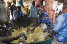 Darfur Now - Photo Gallery