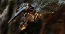 Eragon - Photo Gallery
