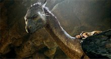Eragon - Photo Gallery