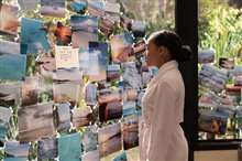 Everything, Everything - Photo Gallery