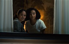 Everything, Everything - Photo Gallery