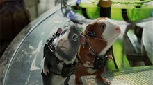 G-Force - Photo Gallery