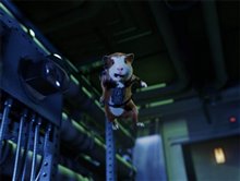 G-Force - Photo Gallery