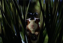 G-Force - Photo Gallery