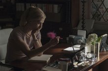 Gone Girl - Photo Gallery