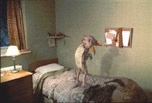 Harry Potter and the Chamber of Secrets - Photo Gallery