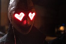 Heart Eyes - Photo Gallery