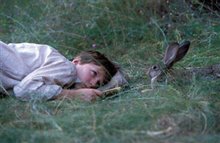 I Am David - Photo Gallery