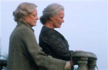 Ladies in Lavender - Photo Gallery