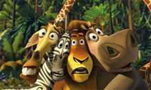 Madagascar - Photo Gallery
