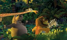 Madagascar - Photo Gallery