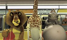 Madagascar - Photo Gallery