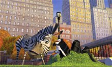 Madagascar - Photo Gallery