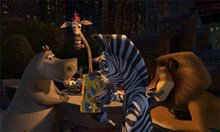 Madagascar - Photo Gallery