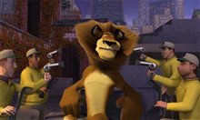 Madagascar - Photo Gallery