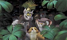 Madagascar - Photo Gallery