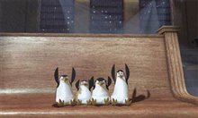 Madagascar - Photo Gallery