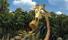 Madagascar - Photo Gallery