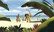 Madagascar - Photo Gallery