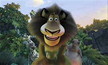Madagascar - Photo Gallery