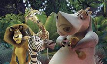 Madagascar - Photo Gallery