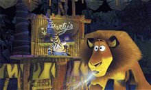 Madagascar - Photo Gallery