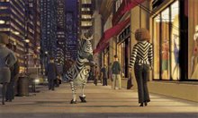 Madagascar - Photo Gallery