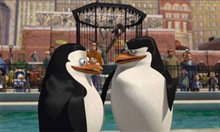 Madagascar - Photo Gallery