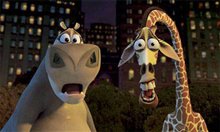 Madagascar - Photo Gallery