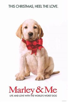 Marley & Me - Photo Gallery