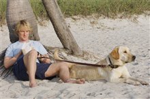 Marley & Me - Photo Gallery