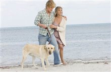 Marley & Me - Photo Gallery