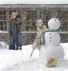 Marley & Me - Photo Gallery