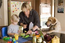 Marley & Me - Photo Gallery